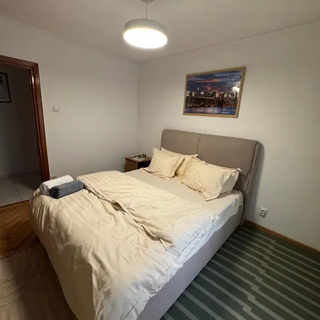 Decebal Overlooking The Boulevard *